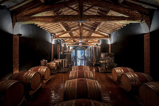 guided-winery-tour-and-wine-tasting-in-siena