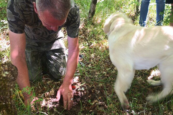 istria-truffles-hunting-cooking-tasting-slovenia