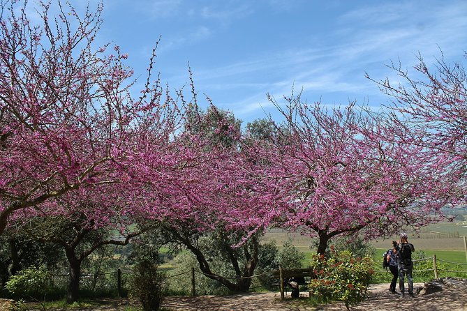 obidos-historic-village-and-mafra-palace-private-tour
