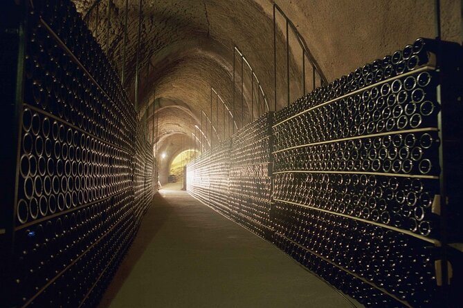 premium-ribera-del-duero-tour-with-winemaker-guide