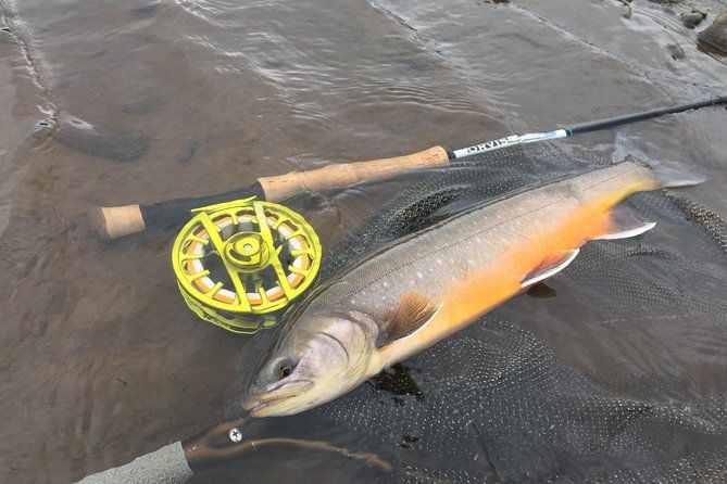 private-fishing-tour-from-reykjavik-arctic-char-and-brown-trout