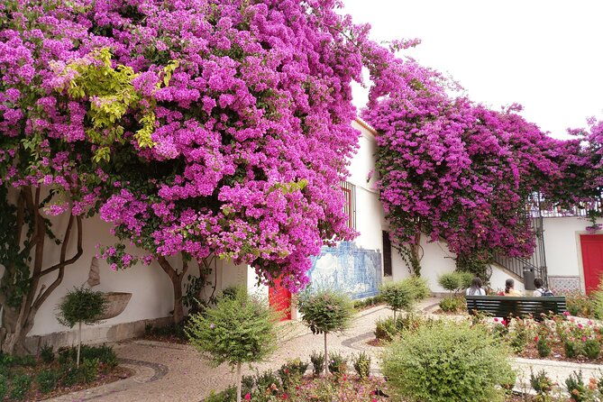 private-tour-highlights-of-historical-lisbon-in-4h-with-transfer