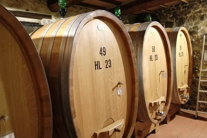 small-group-brunello-di-montalcino-wine-tasting-trip-from-siena