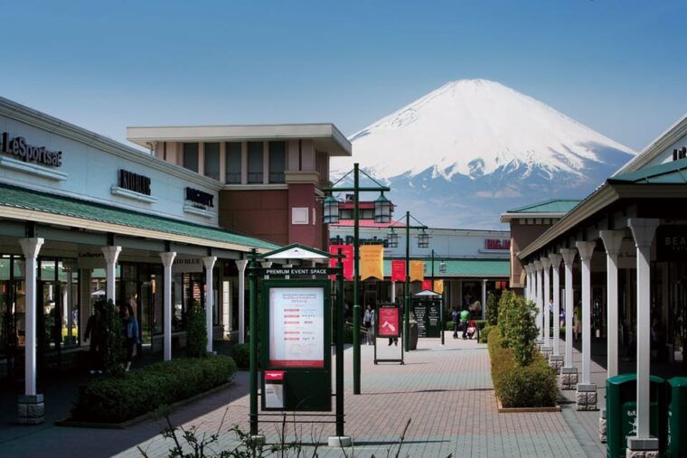 tokyo-hakone-fuji-day-tour-w-cruise-cable-car-volcano