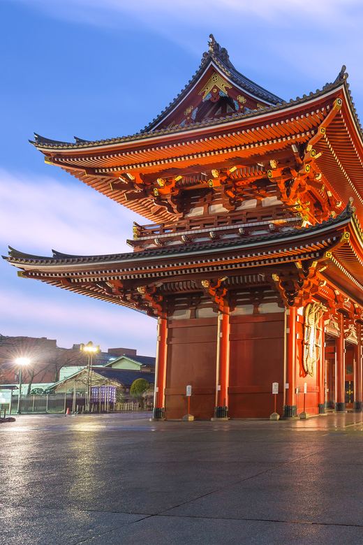 tokyo-winter-illuminations-private-tour-with-a-local