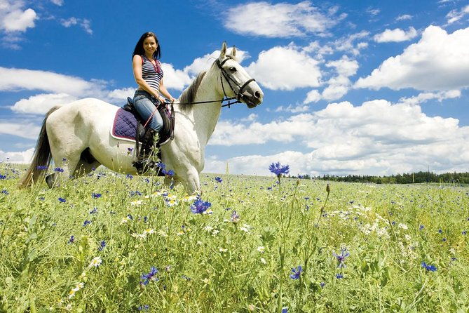 tuscan-chianti-hills-horseback-riding-tour