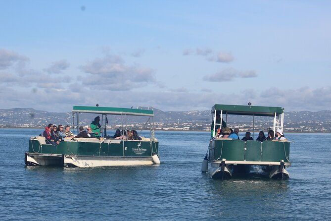 2-stop-2-islands-ria-formosa-natural-park-from-faro
