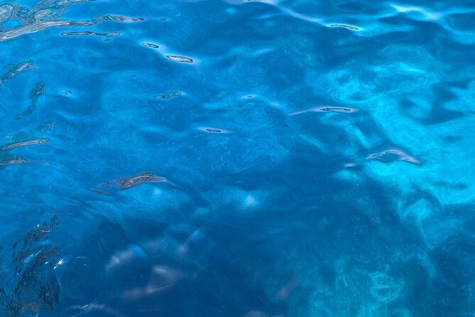 3-hour-private-boat-tour-of-the-island-of-capri