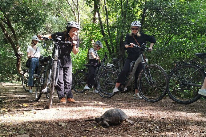 athens-small-group-electric-bike-tour