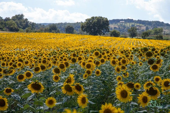 bevagna-e-bike-farm-to-table