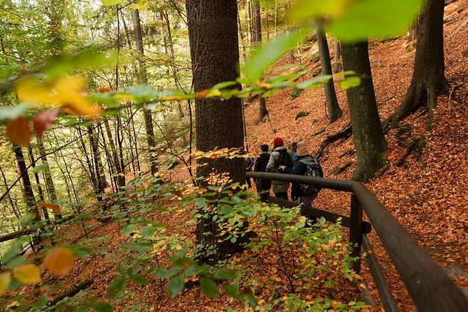 bohemian-and-saxon-switzerland-national-park-day-trip-from-prague-best-reviews