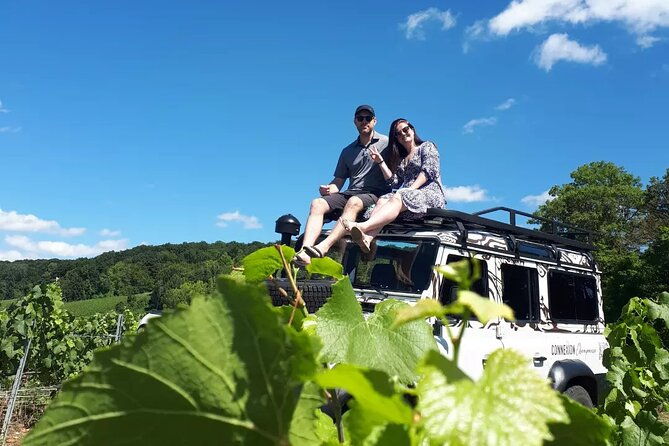 champagne-tasting-panoramic-walk-in-the-vineyards