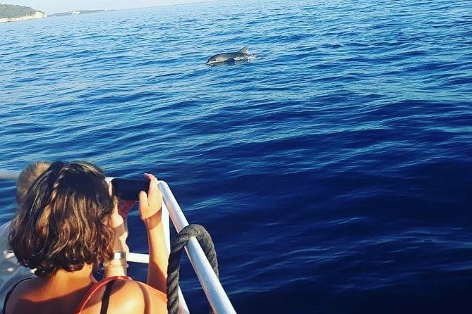 exclusive-dolphin-sunset-cruise-with-dinner-drinks-from-pula