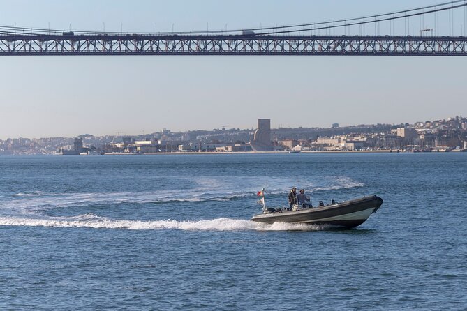 lisbon-dolphin-watching-with-a-marine-biologist-in-a-small-group