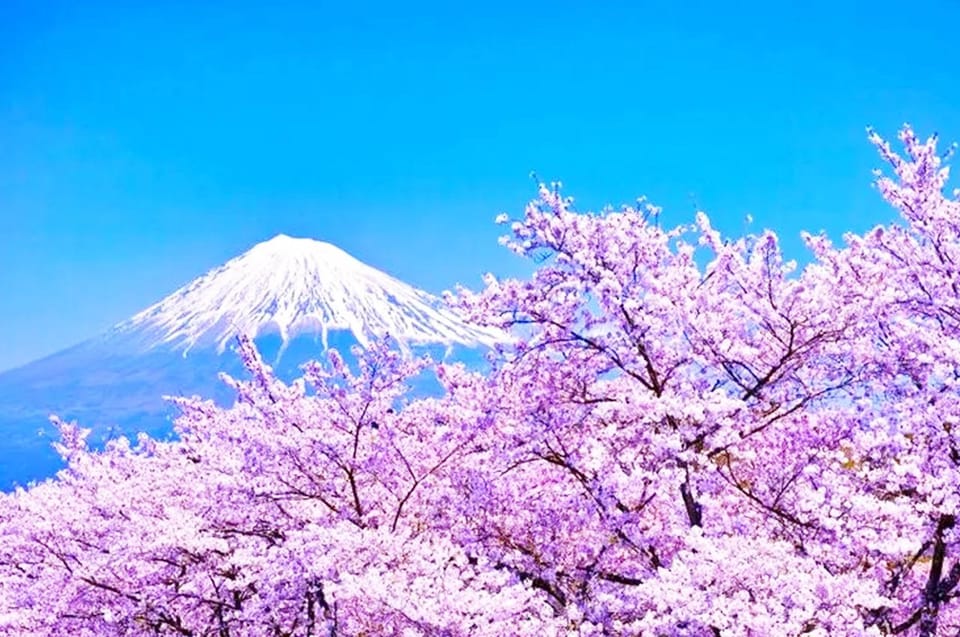 mt-fuji-area-hikawa-clock-shop-dream-bridge-1-day-tour