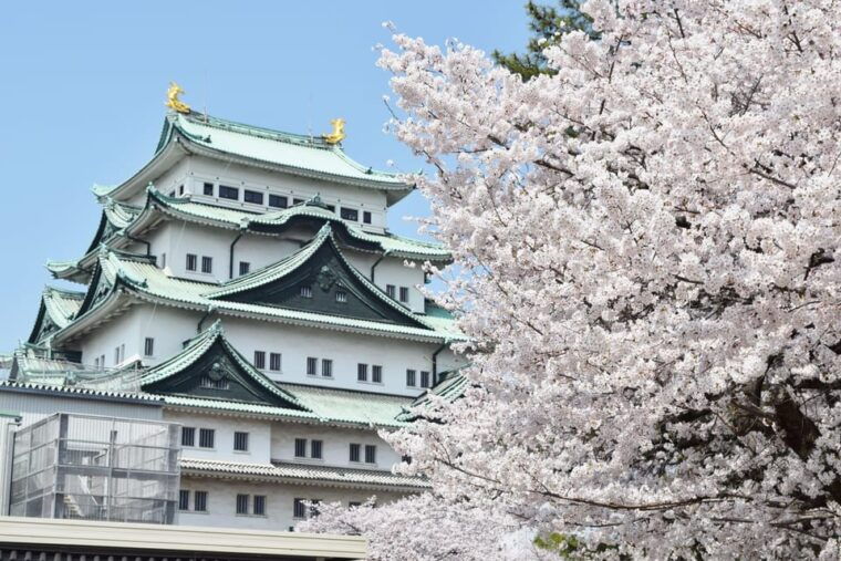 nagoya-english-guided-jogging-tour-of-the-city-2-hours