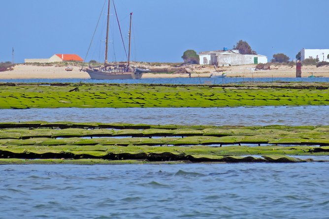 private-sightseeing-boat-tour-in-ria-formosa-at-olhao