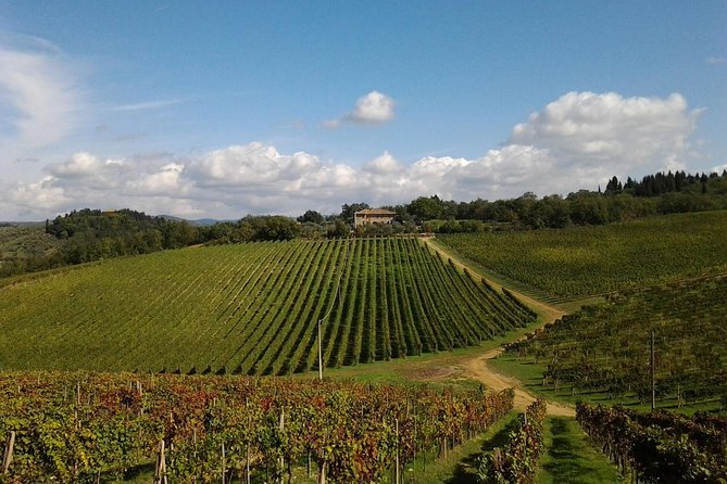small-group-wine-tasting-experience-in-the-tuscan-countryside