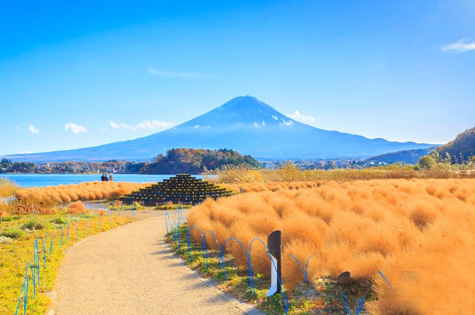 tokyo-mt-fuji-oshino-hakkai-kawaguchi-lake-1-day-trip