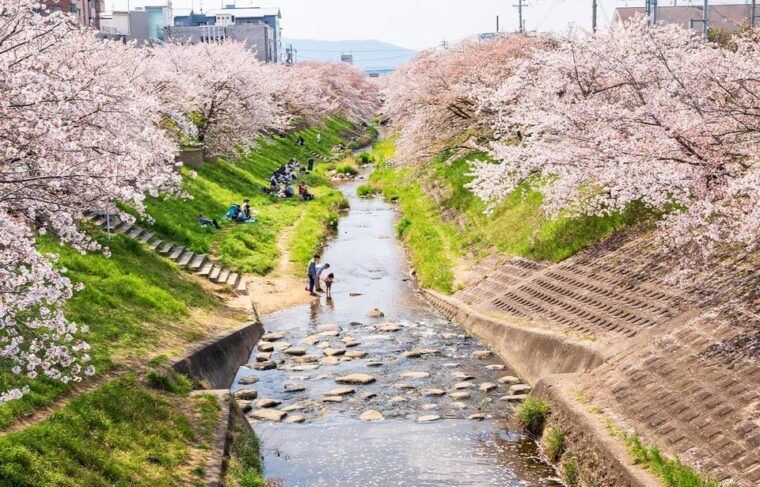 from-osaka-nara-uji-matcha-experience-and-hot-spring-tour