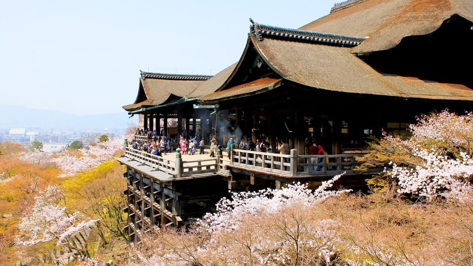 kyoto-matcha-experience-and-ancient-temple-1-day-tour