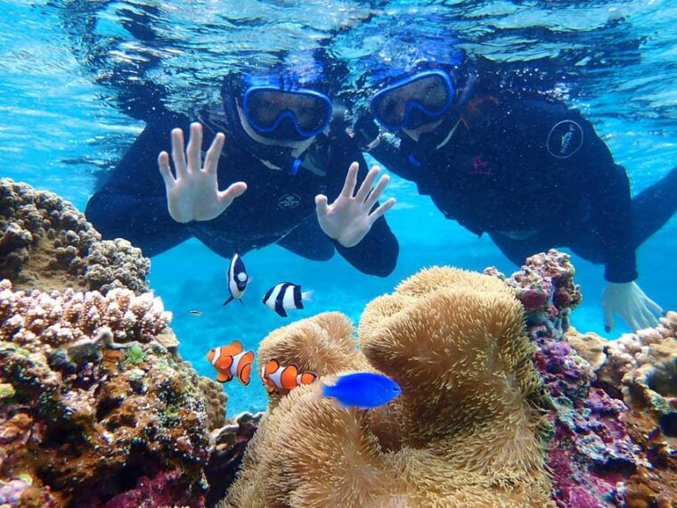 miyako-island-sea-turtle-snorkeling-tour