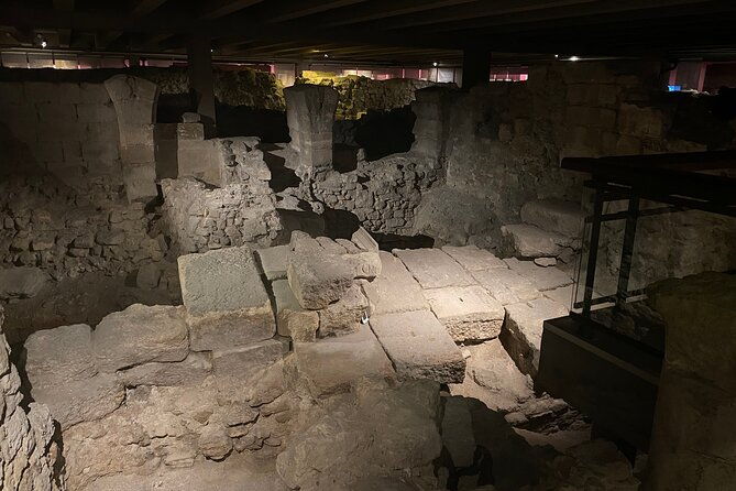 paris-ile-de-la-cite-and-notre-dame-walking-tour-with-crypt