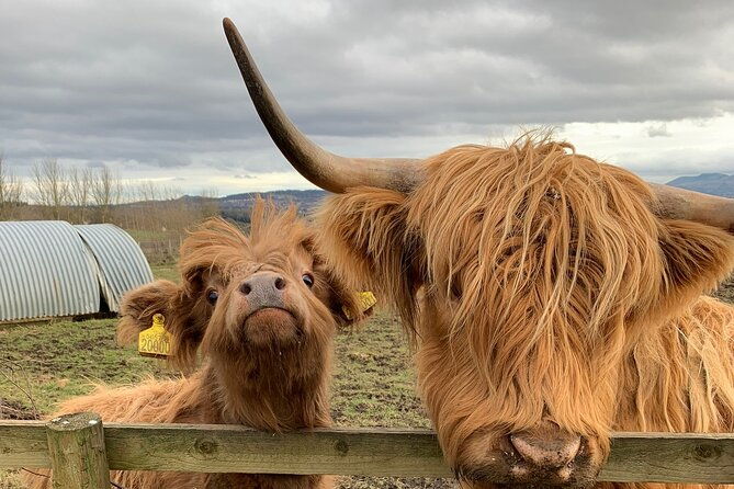 private-tour-loch-lomond-stirling-and-the-kelpies-from-glasgow