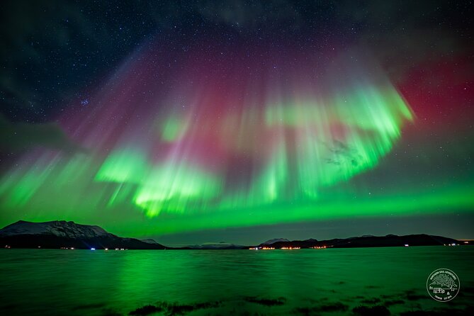 a-journey-in-search-of-the-northern-lights-photography