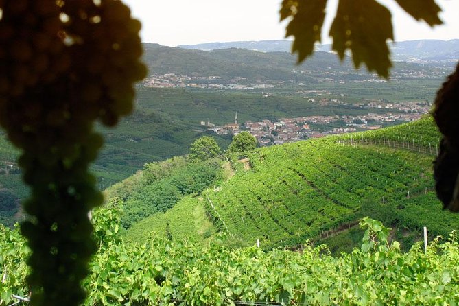 amarone-soave-wine-tour-visit-verona-from-venice