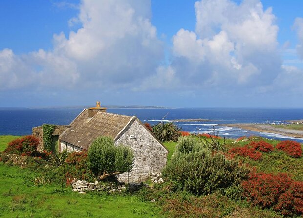 cliffs-of-moher-and-burren-day-trip-including-dunguaire-castle-aillwee-cave-and-doolin-from-galway