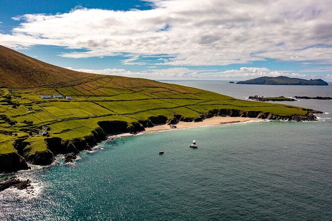 dingle-dolphin-blasket-adventures