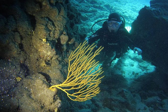 discover-scuba-diving-first-step-to-your-certification