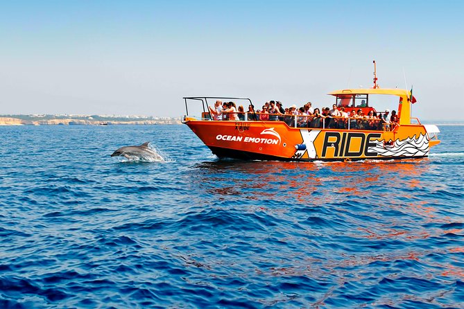 dolphin-watching-and-caves-cruise