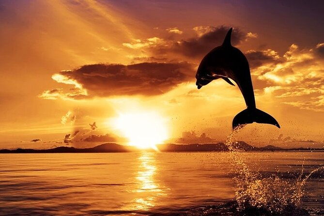 exclusive-dolphin-sunset-cruise-with-dinner-drinks-from-pula