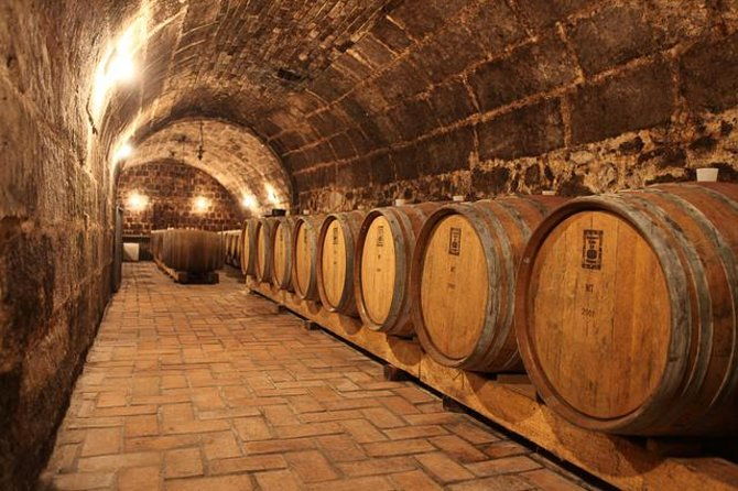 half-day-wine-tasting-tour-in-etyek-wine-country-near-budapest