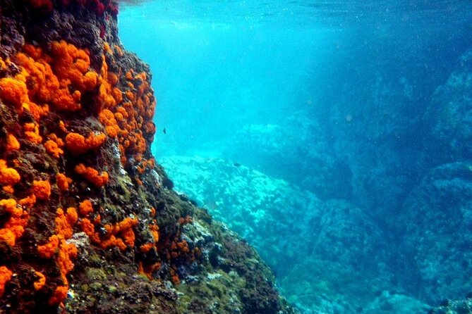 kayak-snorkel-tour-in-cerro-gordo-natural-park-la-herradura