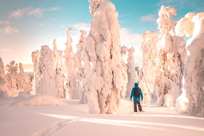 lapland-winter-experience