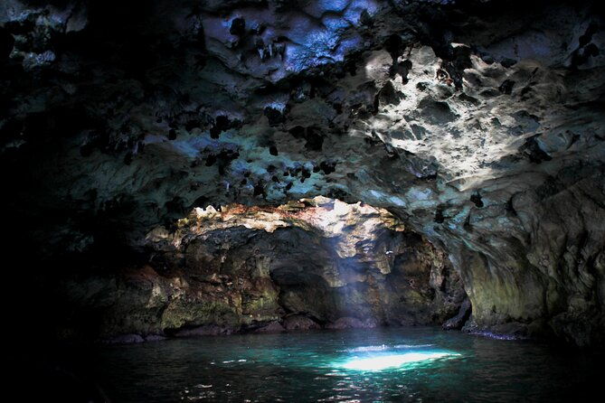 polignano-a-mare-boat-tour-emotions-caves-diving-and-appetizers