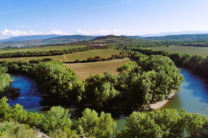 premium-ribera-del-duero-tour-with-winemaker-guide