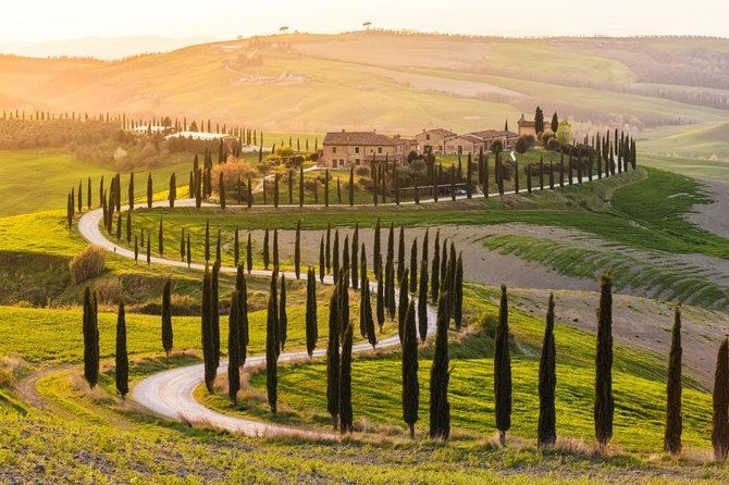 private-day-trip-tuscany-landscape-and-wine-tasting-from-florence