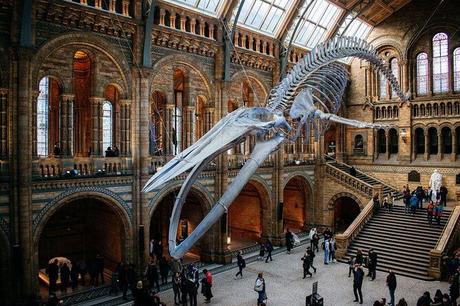 private-guided-tour-of-natural-history-museum-skip-the-line