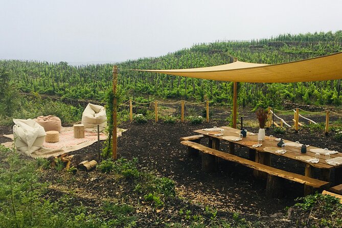private-wine-and-food-tasting-immersed-in-nature-in-milo