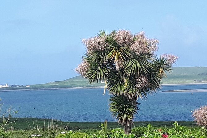 ring-of-kerry-private-tour