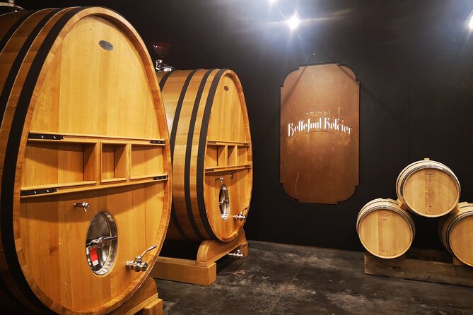 saint-emilion-private-full-day-wine-tour-from-bordeaux