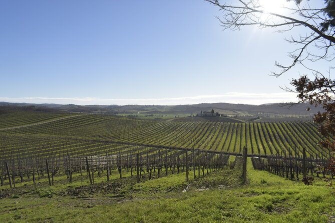 small-group-e-bike-chianti-tour-with-farm-lunch-from-siena