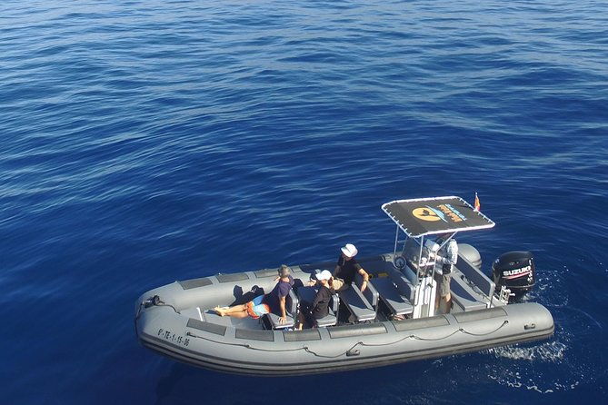 whale-watching-eco-adventure-from-costa-adeje