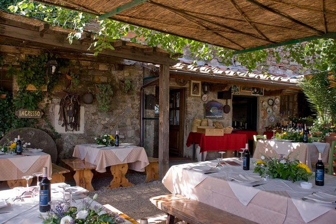 wine-safaris-off-road-tuscany-wine-tours-and-lunch-from-florence