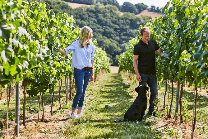1-5-hour-swanaford-vineyard-tour-and-tasting-experience