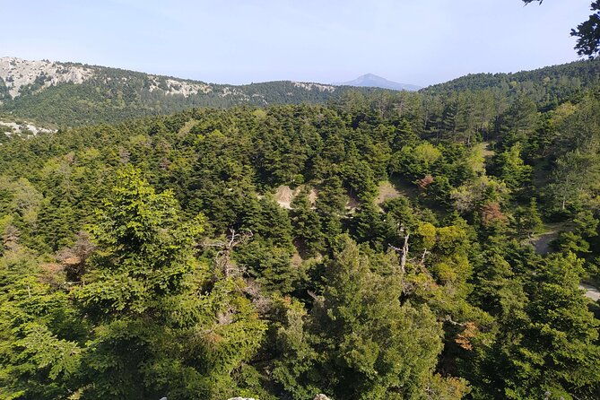 1-day-parnitha-athens-hiking-tour